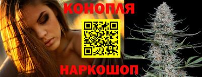 дмт Заводоуковск