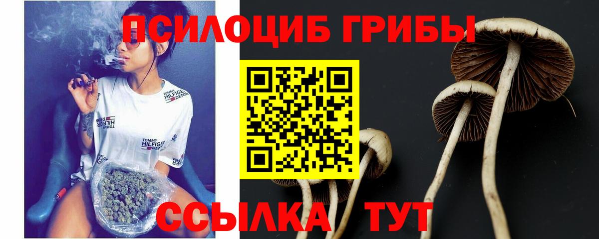 Лесосибирск  Галлюциногенные грибы Magic Shrooms  купить наркотики сайты  Вход с VPN 